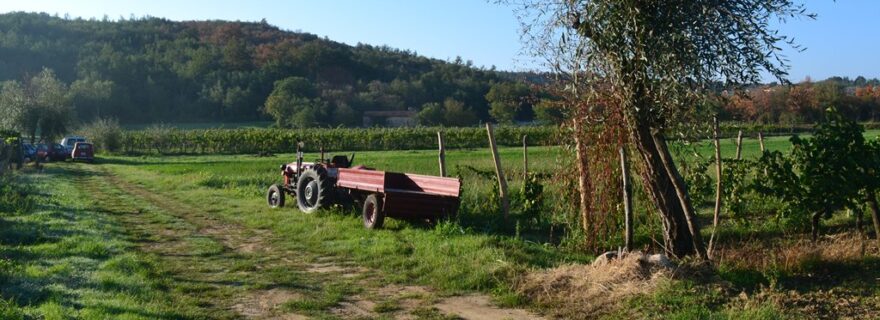 Community in Economic "Kriza": Broken Promises and Precarity in a Small Croatian Farming Community