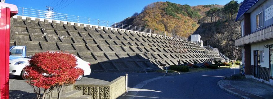 The Price of Safety: Understanding Anti-Seawall Sentiment in Post-Tsunami Japan