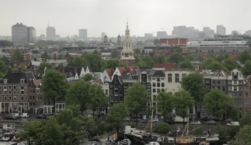 Mind the Gap: Mental Health and a Regulated Insurance Market in the Netherlands