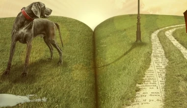 Subjunctivity: narratives, evidence, and uncertainty