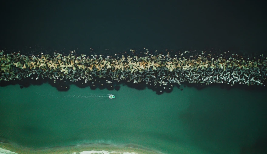 The Color of Protection: Greening Port Cities in an Era of Rising Tides