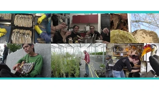 Turkish herring, laughter yoga, and taxidermy: Visual Ethnography NL