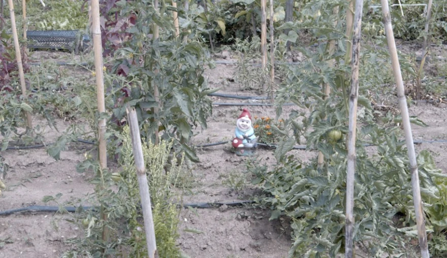 Making it Happen: comparison through teamwork in the Food Citizens? project