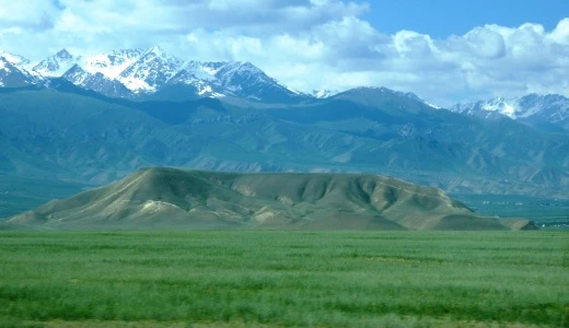 Beards and holy sites: Competing over True Islam in Kyrgyzstan