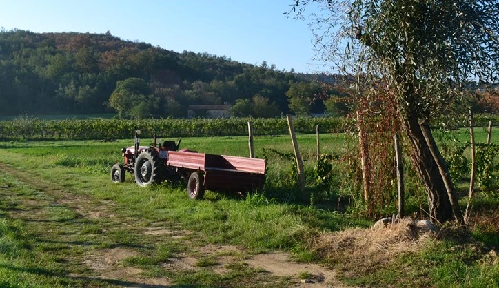 Community in Economic "Kriza": Broken Promises and Precarity in a Small Croatian Farming Community