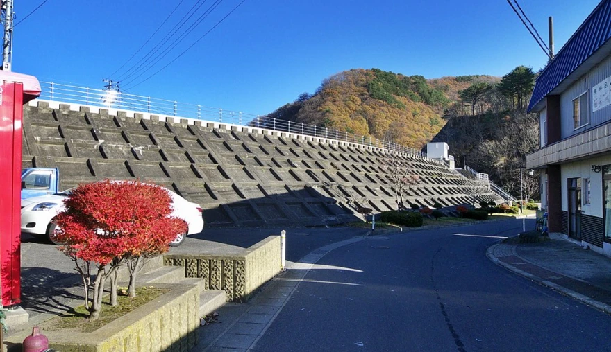 The Price of Safety: Understanding Anti-Seawall Sentiment in Post-Tsunami Japan