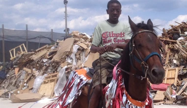 A Show of Horses and Men