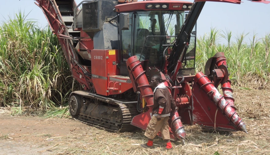 Creating a Story: Large-Scale Bioenergy Production and Its Critics in Sierra Leone