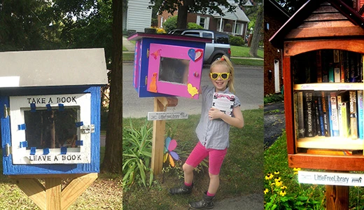Little Free Libraries: Anthropology on the Front Lawn
