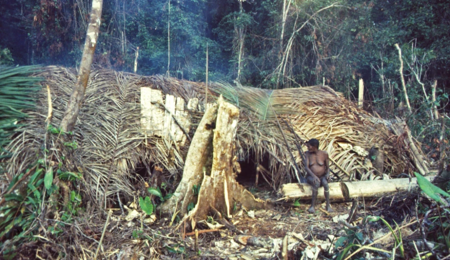 Self-isolation as a Choice: The Sentinelese and the Missionary