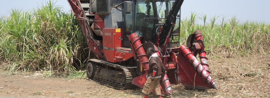 Creating a Story: Large-Scale Bioenergy Production and Its Critics in Sierra Leone