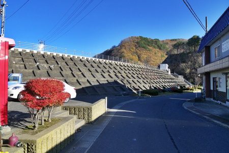 The Price of Safety: Understanding Anti-Seawall Sentiment in Post-Tsunami Japan