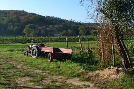 Community in Economic "Kriza": Broken Promises and Precarity in a Small Croatian Farming Community