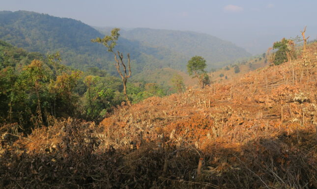 Picture 6