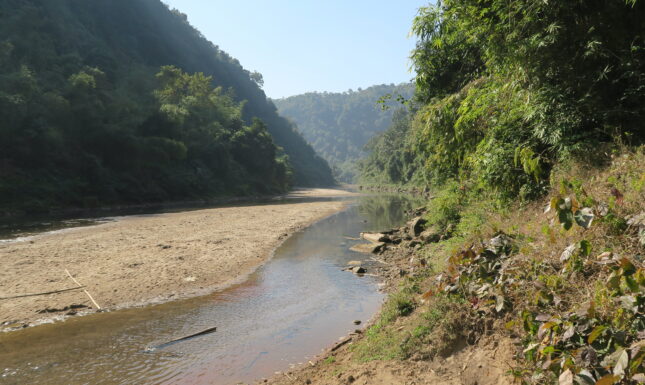 Picture 3 cultivation in Garo Hills
