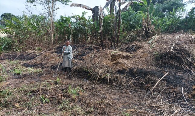 Fig 2 Maintenance of a small agricultural plot at Pont de la Zadié